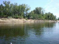 post-7225-0-31893100-1311319507_thumb.jp