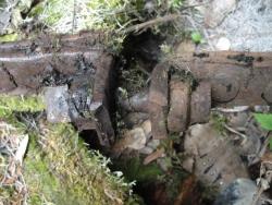 post-7278-0-04856800-1311432484_thumb.jp