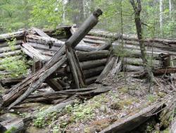 post-7278-0-44994800-1311431758_thumb.jp