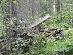 post-7278-0-58371800-1311435116_thumb.jp