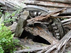 post-7278-0-71665000-1311432080_thumb.jp