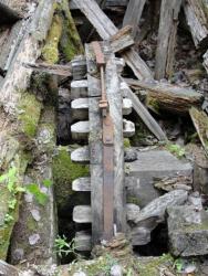 post-7278-0-81585100-1311435735_thumb.jp