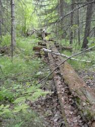 post-7278-0-82913100-1311433947_thumb.jp