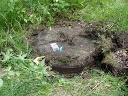 post-7278-0-93035900-1311432988_thumb.jp