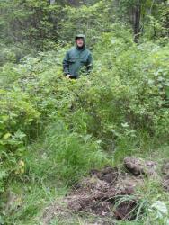 post-7278-0-99572100-1311435137_thumb.jp