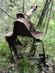 post-7278-0-99784900-1311434247_thumb.jp