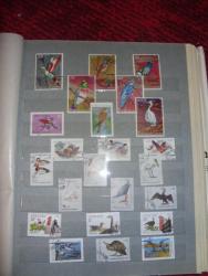 post-7310-0-21636700-1312135247_thumb.jp