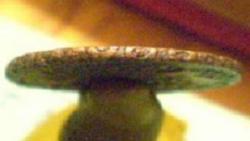 post-7459-0-56895600-1311691227_thumb.jp