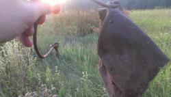 post-10348-0-96197400-1342632217_thumb.j