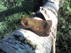 post-11827-0-22614400-1342540106_thumb.j