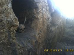 post-12839-0-68146800-1343033310_thumb.j