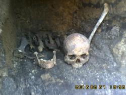 post-12839-0-81043800-1343033320_thumb.j