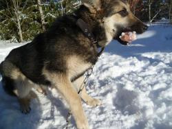 post-2838-0-23817200-1342549888_thumb.jp