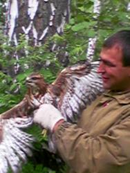 post-3053-0-55924400-1342719415_thumb.jp