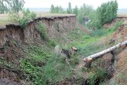 post-4177-0-12769400-1341160040_thumb.jp