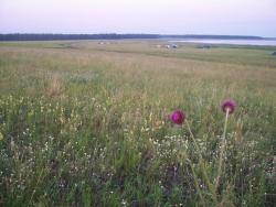 post-4269-0-16797400-1341593001_thumb.jp