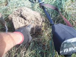 post-4269-0-26399000-1341765095_thumb.jp