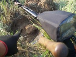 post-4269-0-30439500-1341507442_thumb.jp