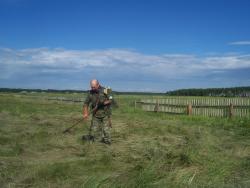 post-4269-0-63365700-1341764935_thumb.jp