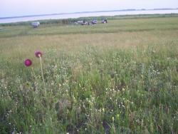 post-4269-0-85552800-1341593021_thumb.jp