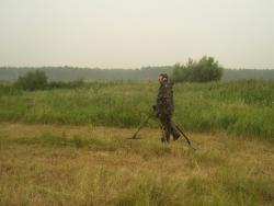 post-4269-0-86399800-1343579109_thumb.jp