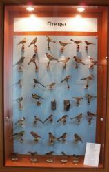 post-4485-0-03278000-1342003521_thumb.jp