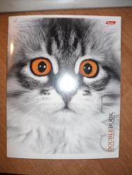 post-4485-0-47156400-1342015118_thumb.jp