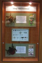 post-4485-0-49654000-1342003596_thumb.jp