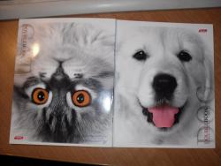 post-4485-0-50214100-1342015280_thumb.jp