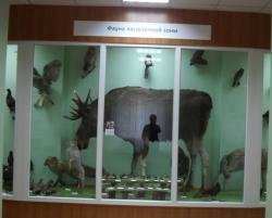 post-4485-0-63926800-1342003405_thumb.jp