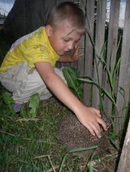 post-4485-0-77983000-1341725336_thumb.jp