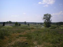 post-4632-0-24600700-1342277040_thumb.jp