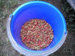 post-4632-0-66008500-1342277062_thumb.jp