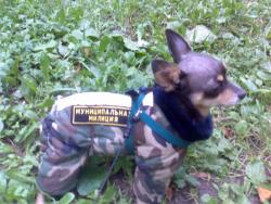 post-4655-0-08087200-1342548928_thumb.jp