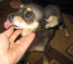 post-4655-0-10998300-1342028717_thumb.jp