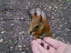 post-4655-0-33641400-1342029441_thumb.jp