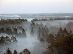 post-4840-0-28695800-1341573188_thumb.jp