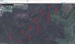 post-4840-0-30632500-1343408070_thumb.jp