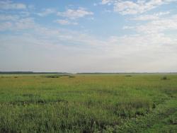 post-6245-0-02609500-1341827029_thumb.jp