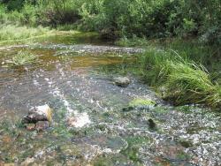 post-6245-0-53237300-1341827040_thumb.jp