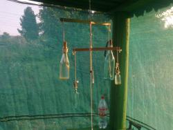 post-6342-0-16960200-1343303042_thumb.jp