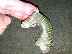 post-6685-0-37109200-1342705560_thumb.jp