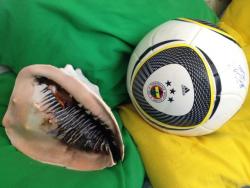 post-6698-0-35678200-1342178137_thumb.jp