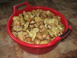 post-6726-0-36876700-1343475042_thumb.jp