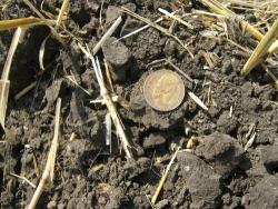 post-6890-0-15403500-1341943193_thumb.jp