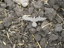 post-6890-0-28486200-1341945446_thumb.jp