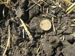 post-6890-0-90841000-1341943532_thumb.jp