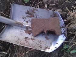 post-6900-0-00792500-1343751836_thumb.jp