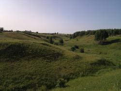 post-6900-0-64779800-1342372356_thumb.jp