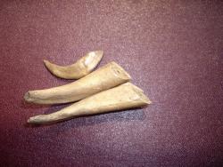 post-7090-0-45518900-1341381069_thumb.jp